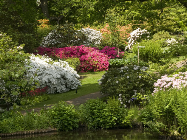 Обои картинки фото природа, парк, кусты, деревья, река