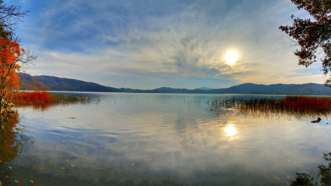 Обои картинки фото германия, глес, природа, реки, озера, река, рассвет, камыши, деревья