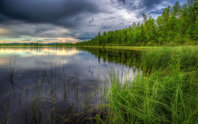 Обои картинки фото природа, реки, озера, озеро, лес, тучи, трава