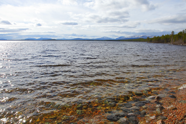 Обои картинки фото природа, реки, озера, побережье, река