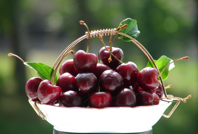 Обои картинки фото еда, вишня, черешня