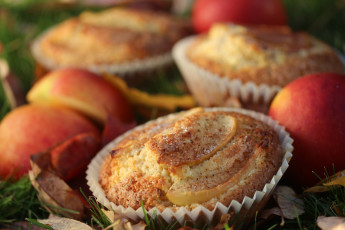 Картинка еда пирожные +кексы +печенье кекс выпечка веточки