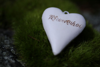 Картинка праздничные день+святого+валентина +сердечки +любовь надпись сердце мох травка