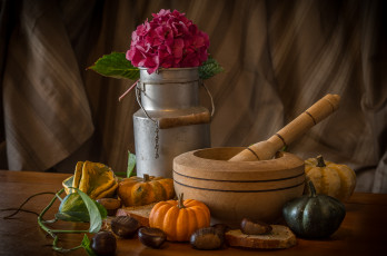 Картинка еда тыква натюрморт цветы каштаны