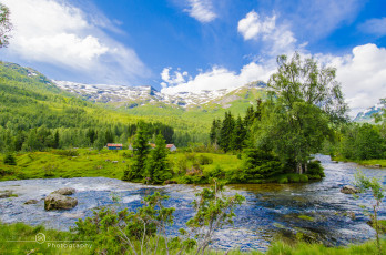 Картинка природа реки озера пейзаж весна