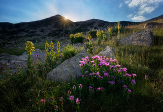 Картинка природа луга простор