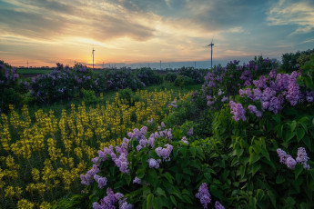 Картинка природа пейзажи простор