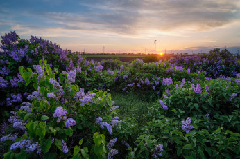 Картинка природа пейзажи простор