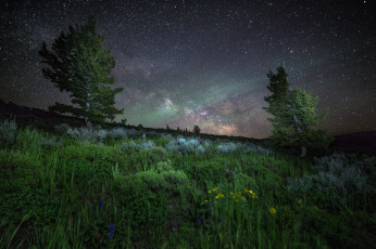 Картинка природа пейзажи простор