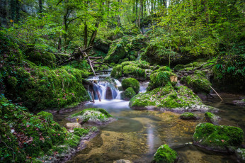 Картинка природа реки озера простор