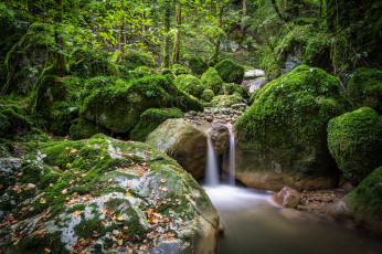 Картинка природа реки озера простор