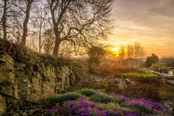 Картинка природа восходы закаты простор