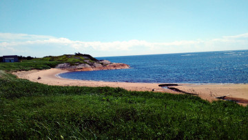 Картинка природа побережье трава песок море берег