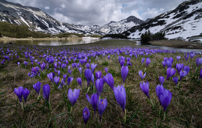 Обои картинки фото природа, луга, простор