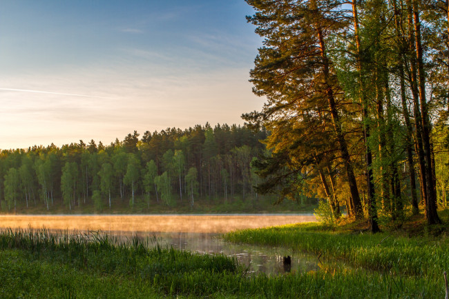 Обои картинки фото природа, лес, туман, деревья, осень, вода