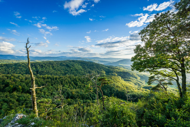 Обои картинки фото природа, пейзажи, простор