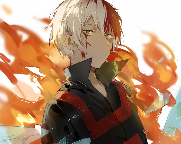 Обои картинки фото аниме, boku no hero academia, шото