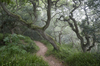 Картинка природа дороги простор