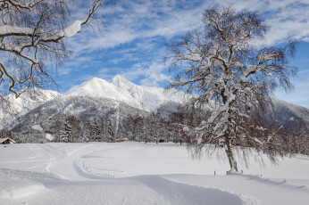 Картинка природа зима простор