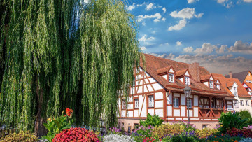 Картинка города -+здания +дома ива жилой дом цветы