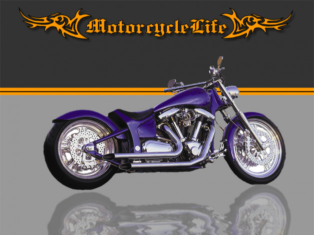 Обои картинки фото мотоциклы, customs