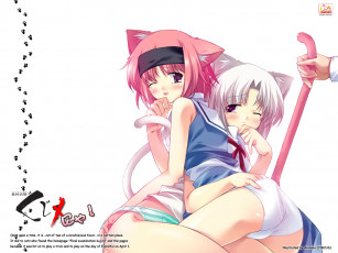 Картинка аниме animals