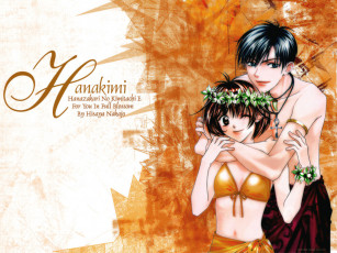 Картинка аниме hanakimi