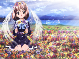 Картинка аниме sister princess