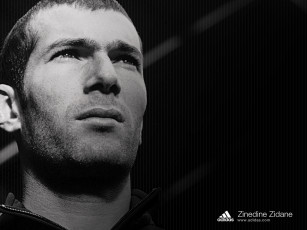 Картинка бренды adidas