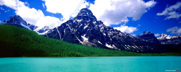 Картинка природа