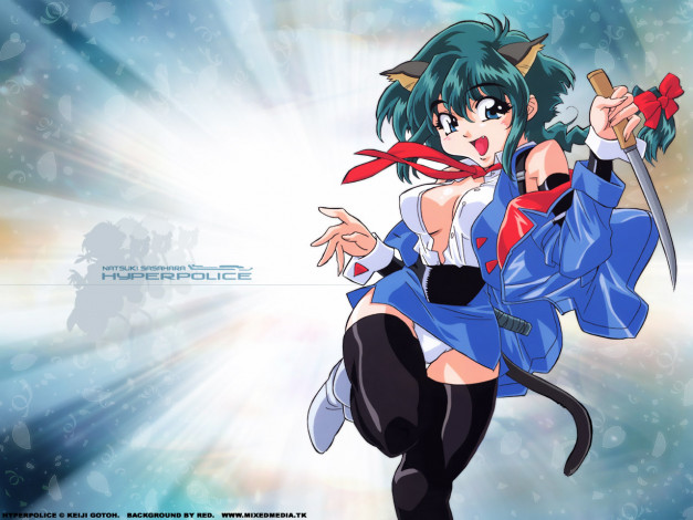 Обои картинки фото аниме, hyper, police