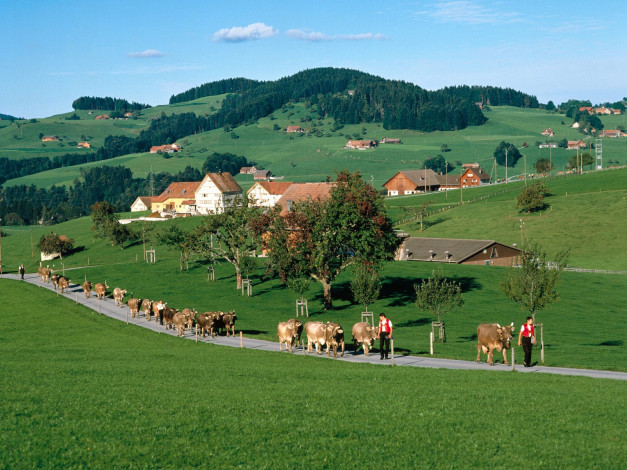 Обои картинки фото appenzell, switzerland, города