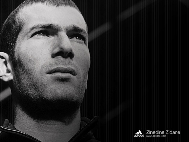 Обои картинки фото бренды, adidas