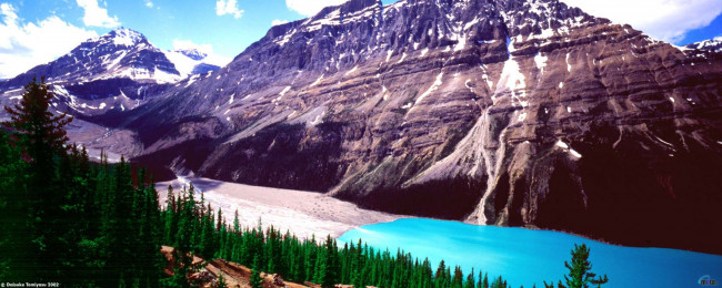 Обои картинки фото природа