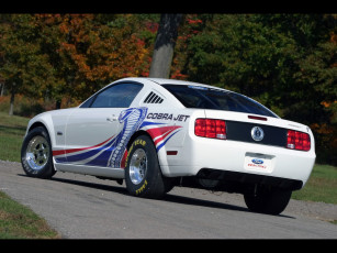 Картинка 2008 ford cobra jet mustang автомобили