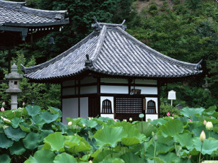 Картинка города здания дома