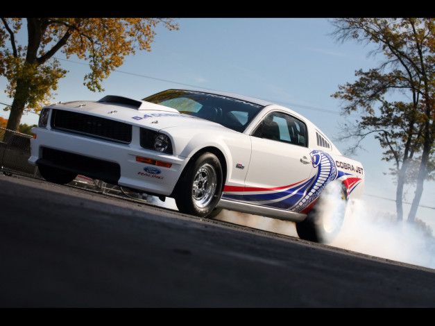 Обои картинки фото 2008, ford, cobra, jet, mustang, автомобили