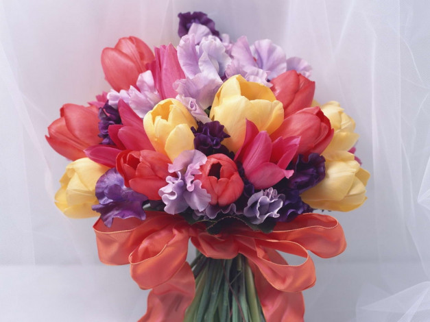 Обои картинки фото цветы, букеты, композиции