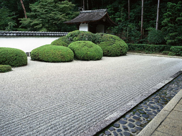 Обои картинки фото природа, парк