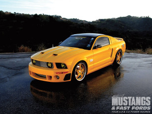 Картинка 2006 ford mustang gt автомобили
