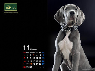 Картинка бренды hunter