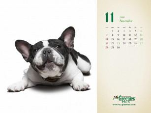 Картинка календари животные