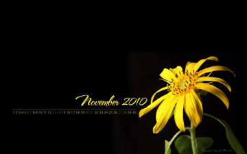 Картинка календари цветы