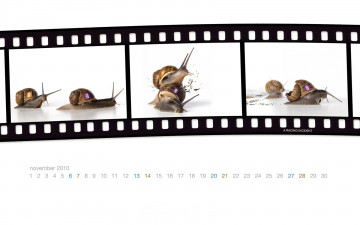 Картинка календари животные