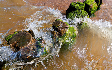 Картинка природа вода