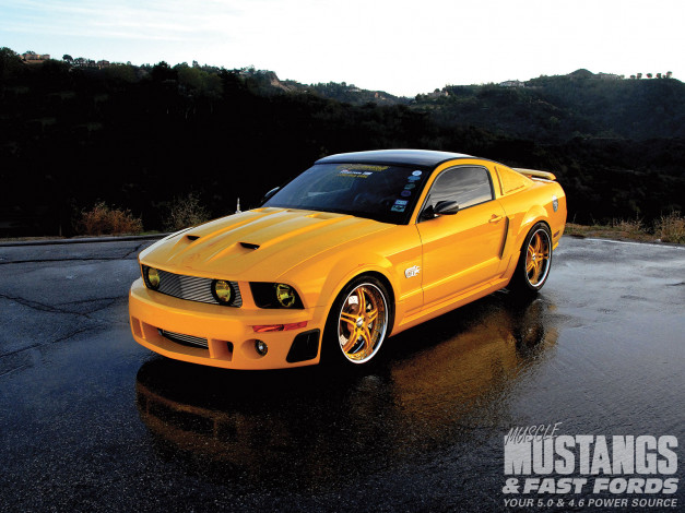 Обои картинки фото 2006, ford, mustang, gt, автомобили