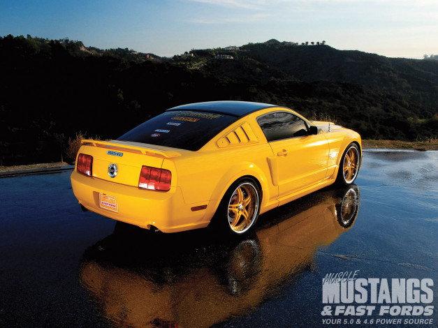 Обои картинки фото 2006, ford, mustang, gt, автомобили