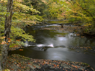 Картинка природа реки озера лес река