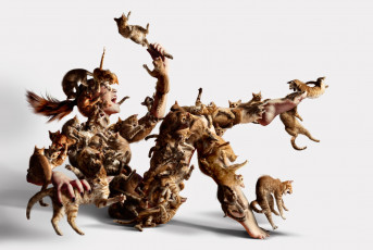 Картинка юмор приколы нападение кошки девушка