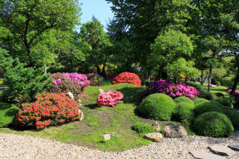 Картинка Чехия прага ботанический сад природа парк